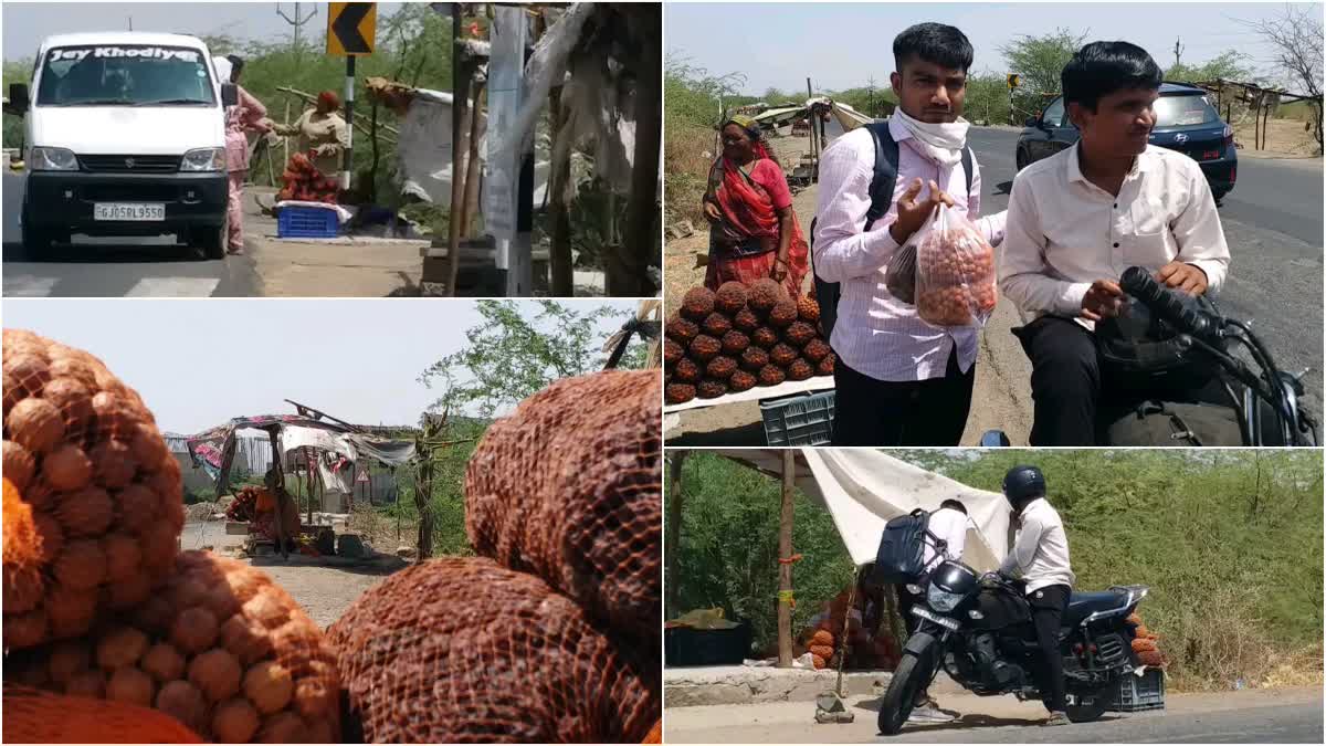 સૂકા બોર લેવા આકરી ગરમીમાં પગ અને મન થોભી જાય, ભાવનગર હાઇવે પર આ સ્થળે છે સૂકા બોરની બજાર