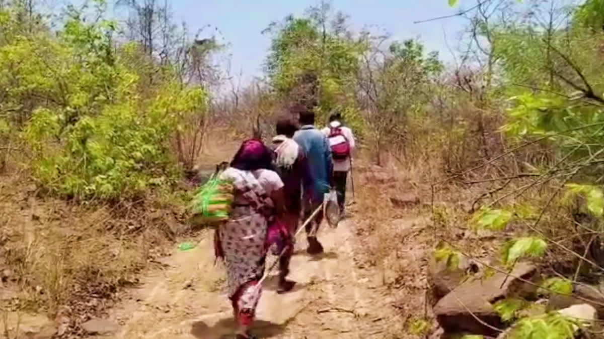 Penugolu Tribal Walk 18 kilometers for Vote
