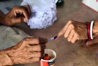 File image of finger inked during voting