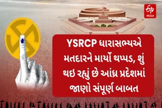 YSRCP ધારાસભ્યએ મતદારને માર્યો થપ્પડ, શું થઇ રહ્યું છે આંધ્ર પ્રદેશમાં જાણો સંપૂર્ણ બાબત