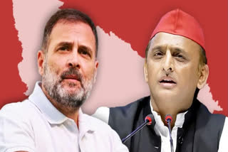 Rahul Gandhi, Akhilesh Yadav to campaign for INDIA bloc nominee in Jhansi May 14