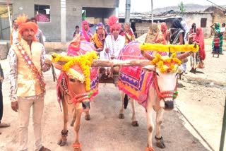 BURHANPUR VOTER WITH BULLOCK CART