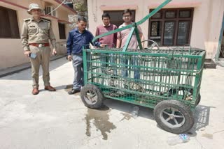 Leopard Rescue in Someshwar