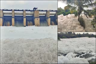 Foam in kelavarapalli dam water