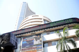 Stock Market