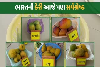 ભારતમાં 1500 કરતાં પણ વધારે કેરીની વિવિધ જાતો આજે પણ અસ્તિત્વ ધરાવે છે