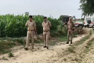 Etv Bharat
