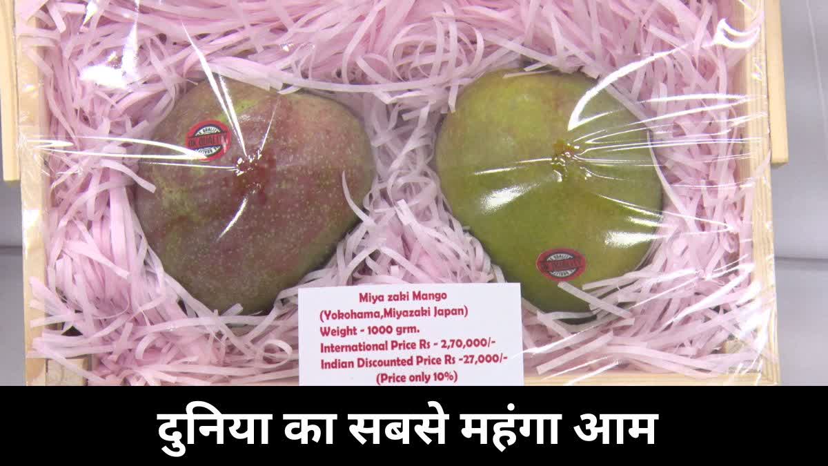 Miyazaki Mango in Raipur