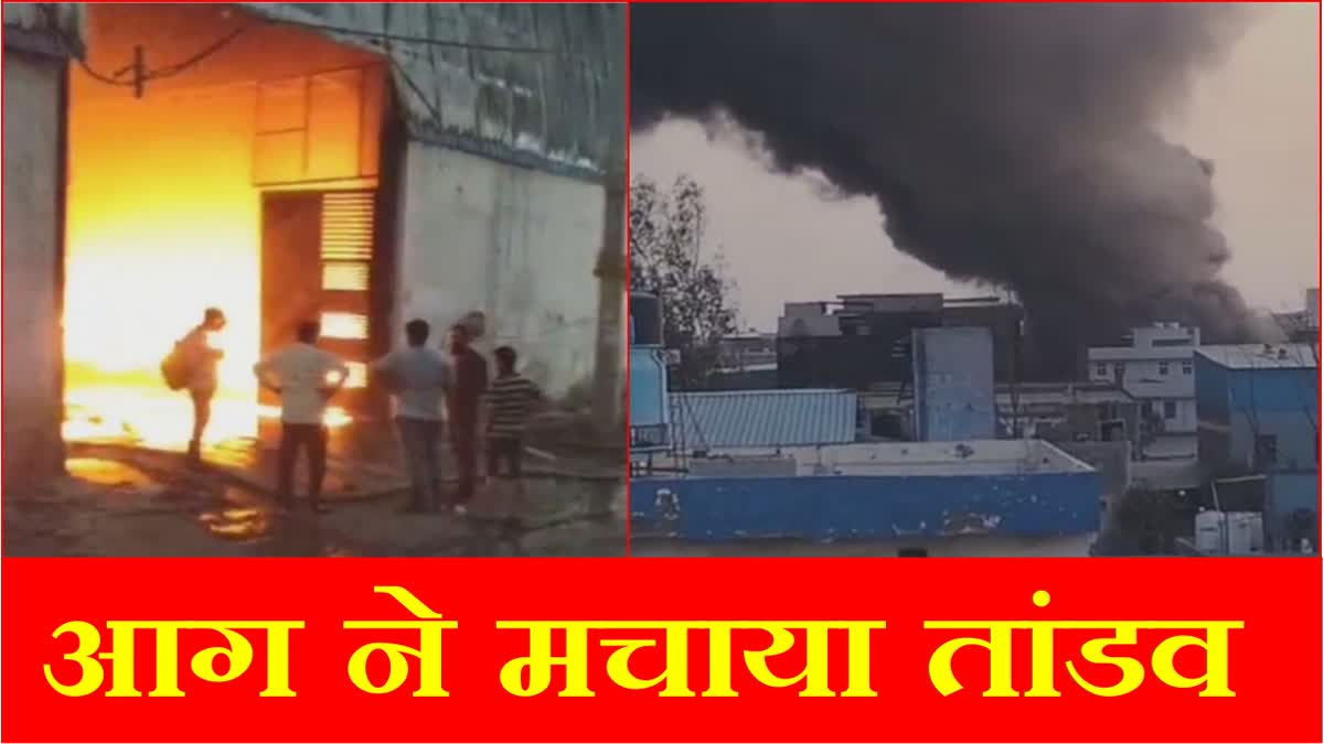 Massive fire broke out in the warehouse of a footwear factory in Bahadurgarh Jhajjar of Haryana