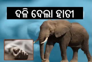 Elephant attack in Dhenkanal