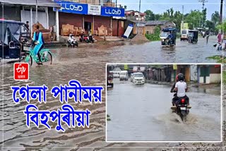 Flood effects on daily life in Lakhimpur Bihpuria