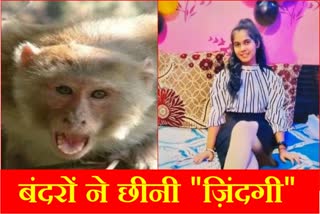 Monkey attack in Karnal of Haryana 9th class student fell from third floor died in hospital