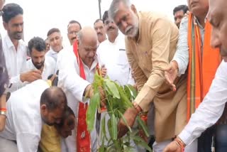 Saplings were planted at the origin of Kolans River