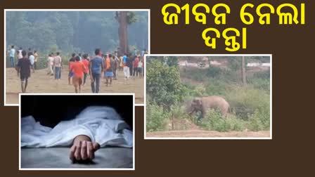 କୋଇଡାରେ ଗୋଠ ଛଡା ହାତୀ ଆତଙ୍କ, ଦନ୍ତା ଆକ୍ରମଣରେ ଯୁବକ ମୃତ