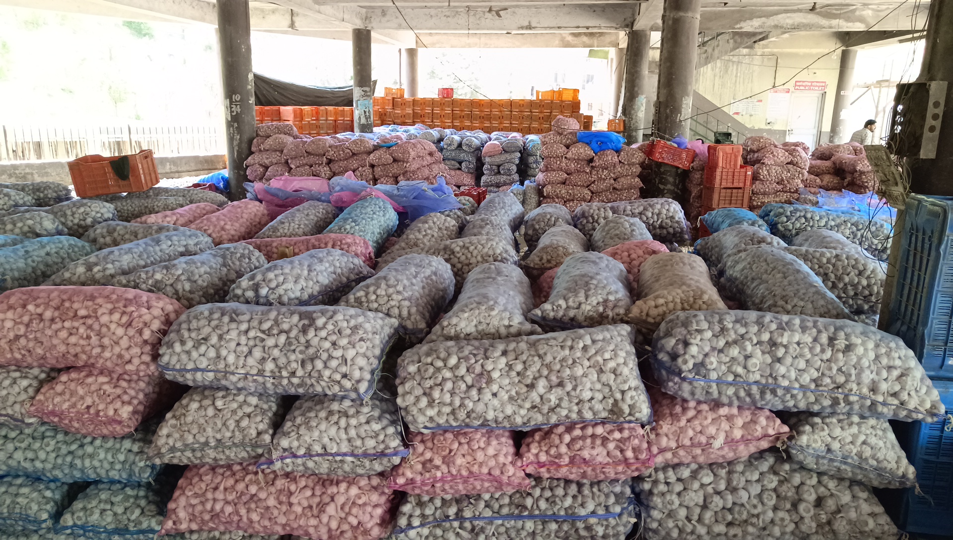 Garlic Price Decrease in Solan vegetable market