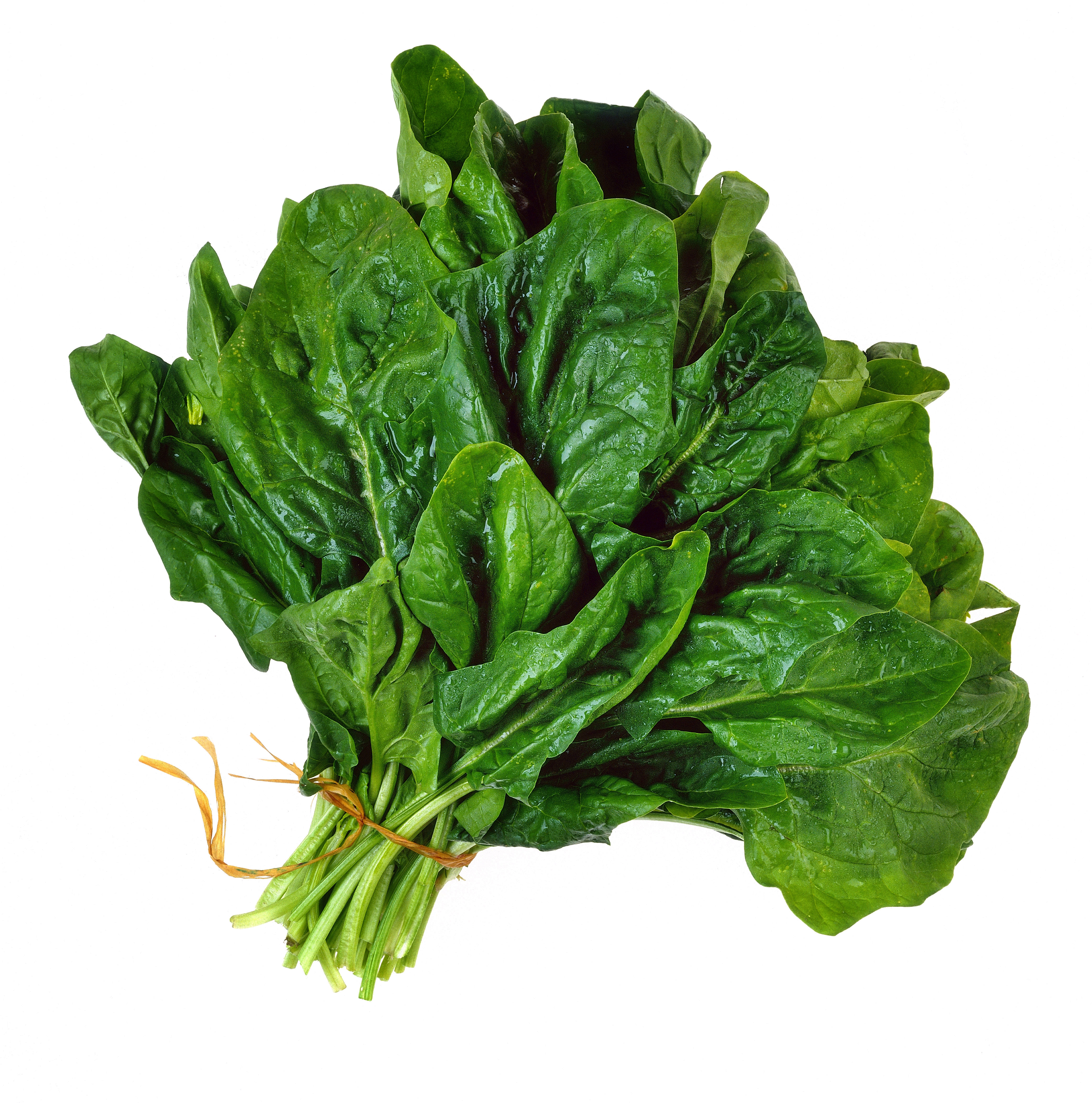 FOODS THAT REDUCE ARTHRITIS PAIN ARTHRITIS PAIN Joint Pain ಕೀಲು ನೋವು
