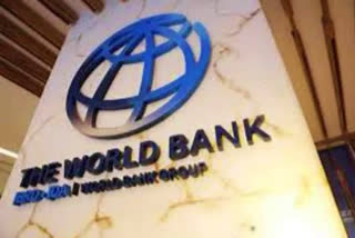 WORLD BANK AND IFC SUPPORT
