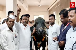 BACCHU KADU PROTEST