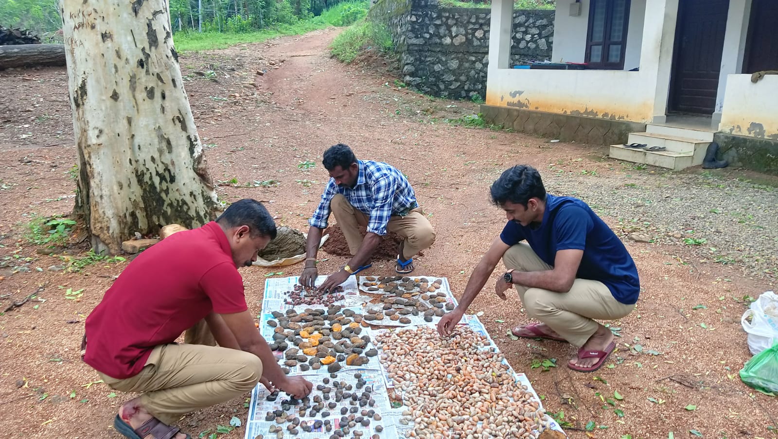 FOREST DEPARTMENT CULTIVATION PROGRAMME