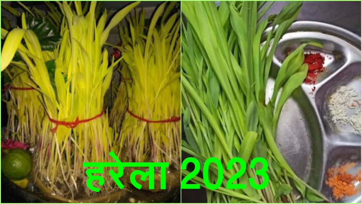 Lokparv Harela 2023