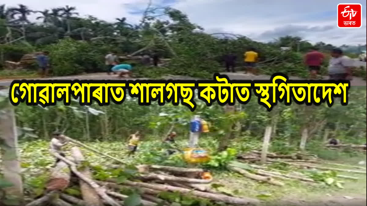 Goalpara Sal Trees Issue