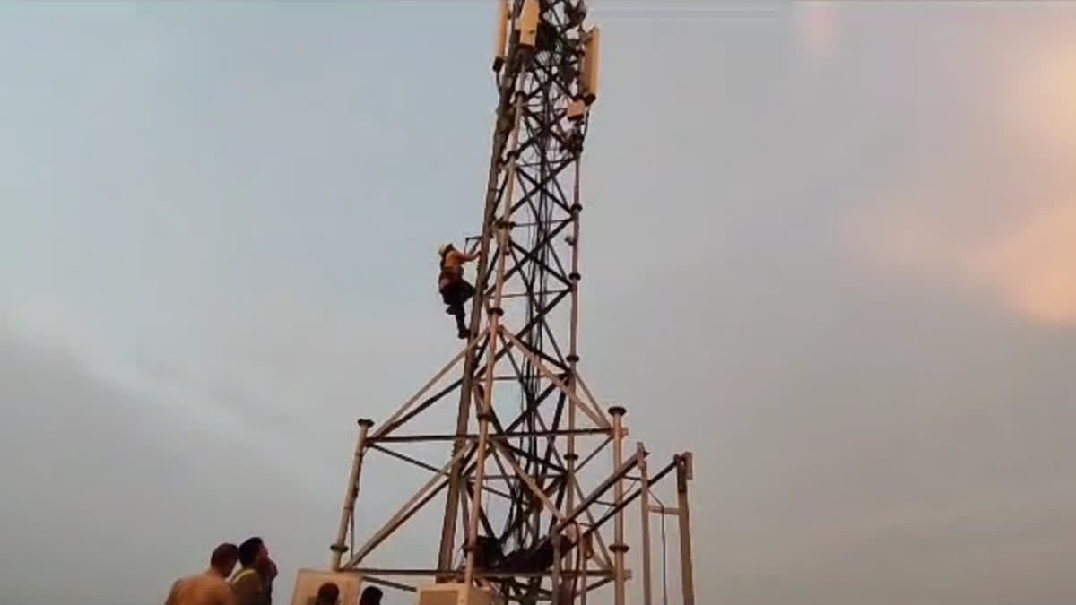 fire Department rescues crow  crow trapped in tower in Aligarh  bjp MP Maneka Gandhi  MP Maneka Gandhi  crow trapped in the tower rescued after 3 days  crow rescue  മൊബൈല്‍ ടവറില്‍ കുടുങ്ങി കാക്ക  കാക്ക  മനേക ഗാന്ധി  ജീവ് ദയ ഫൗണ്ടേഷന്‍  അലിഗര്‍  ഉത്തര്‍പ്രദേശ്  ഏറ്റവും പുതിയ ദേശീയ വാര്‍ത്ത