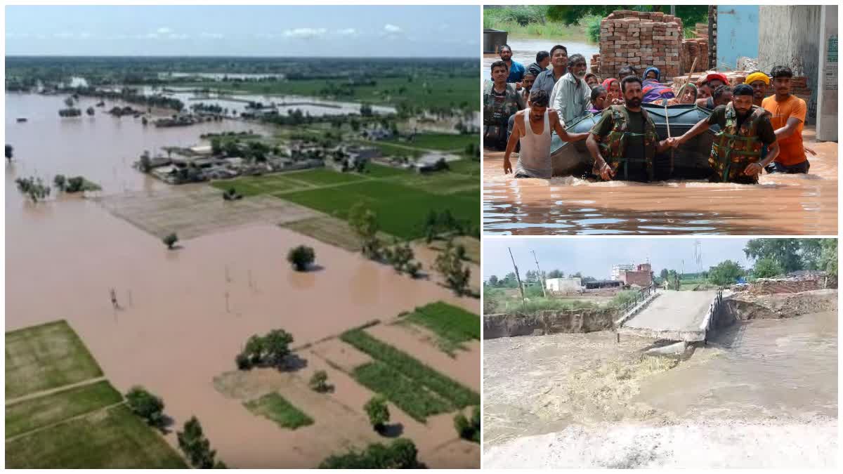 PUNJAB FLOOD  500 VILLAGES AFFECTED WITH FLOOD IN PUNJAB  Heavy rain in Punjab  ನಿರಂತರ ಮಳೆಯಿಂದ ನದಿಗಳು ತುಂಬಿ ಹರಿಯುತ್ತಿದ್ದು  500ಕ್ಕೂ ಹೆಚ್ಚು ಹಳ್ಳಿಗಳು ಪ್ರವಾಹ  ಪ್ರವಾಹದ ಹಿಡಿತದಲ್ಲಿವೆ 500ಕ್ಕೂ ಹೆಚ್ಚು ಹಳ್ಳಿಗಳು  ತುಂಬಿ ಹರಿಯುತ್ತಿರುವ ನದಿ  ಸದ್ಯದ ಪರಿಸ್ಥಿತಿ ಹೀಗಿದೆ  ಪ್ರವಾಹದ ಹಿಡಿತದಲ್ಲಿ ಸುಮಾರು 500 ಗ್ರಾಮಗಳು  ಲೂಧಿಯಾನದಲ್ಲಿ ಪ್ರವಾಹ ಪರಿಸ್ಥಿತಿ