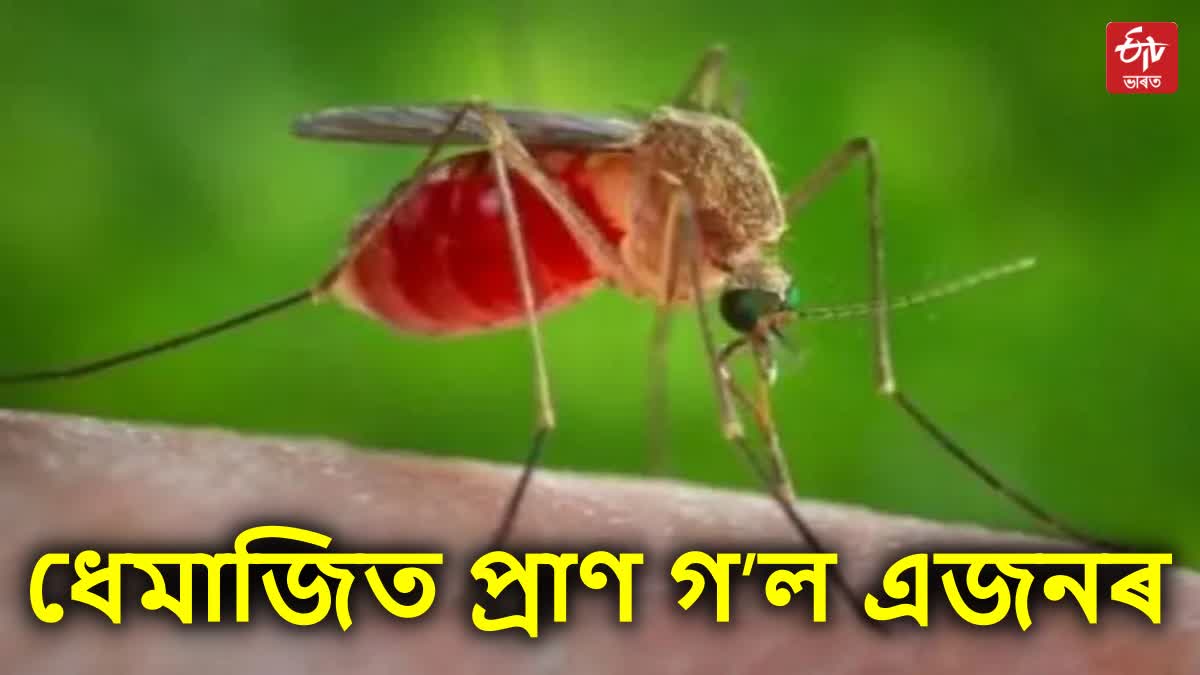 one died due to Japanese Encephalitis in Dhemaji