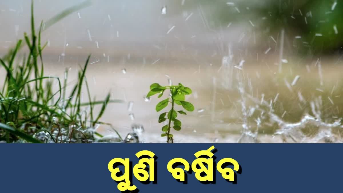 ପ୍ରବଳ ବର୍ଷାକୁ ନେଇ 13 ଜିଲ୍ଲାକୁ ୟେଲୋ ୱାର୍ଣ୍ଣିଂ