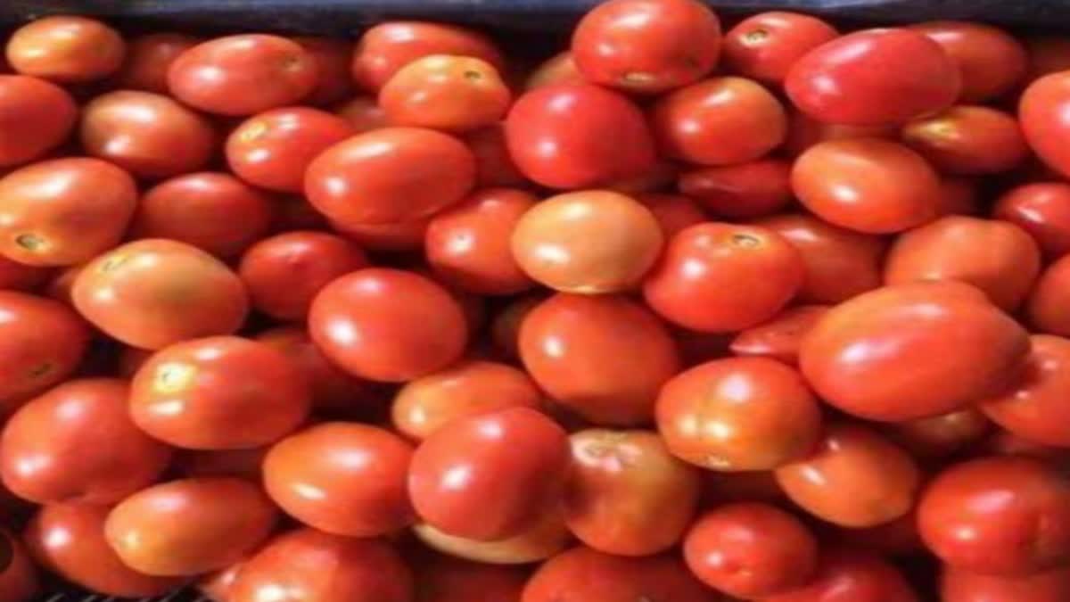 Shahdol man in MP puts tomatoes in food preparation