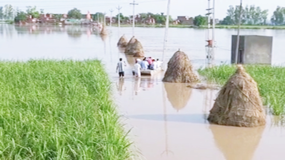 Sonipat flood update