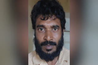 crime news  Crime news Pathanamthitta  പത്തനംതിട്ട  Younger brother arrested assaulting his brother  Younger brother  Youth arrested in case of assaulting his brother  സഹോദരനെ വെട്ടിപ്പരിക്കേൽപ്പിച്ചു