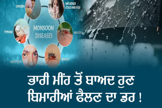 Punjab After Flood, Punjab Updates, Bathinda