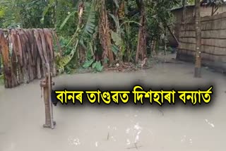 Flood at Manikpur in Bongaigaon