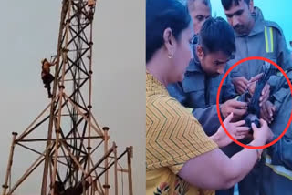 FIRE DEPARTMENT RESCUES CROW TRAPPED IN MOBILE NETWORK TOWER IN ALIGARH AFTER BJP MP MANEKA GANDHI CALL