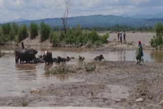 Flood occurred in Akhnoor village situated on Indo-Pakistan border