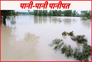 Flood In Panipat
