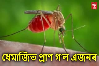 one died due to Japanese Encephalitis in Dhemaji