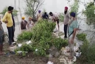 Sultanpur Lodhi: Scaffolding from 6 places in the main Dhusi dam of Aluwal Saruwal