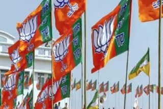 bjp flag