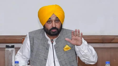 Chief Minister Bhagwant Mann retaliated against the targets of the opponents