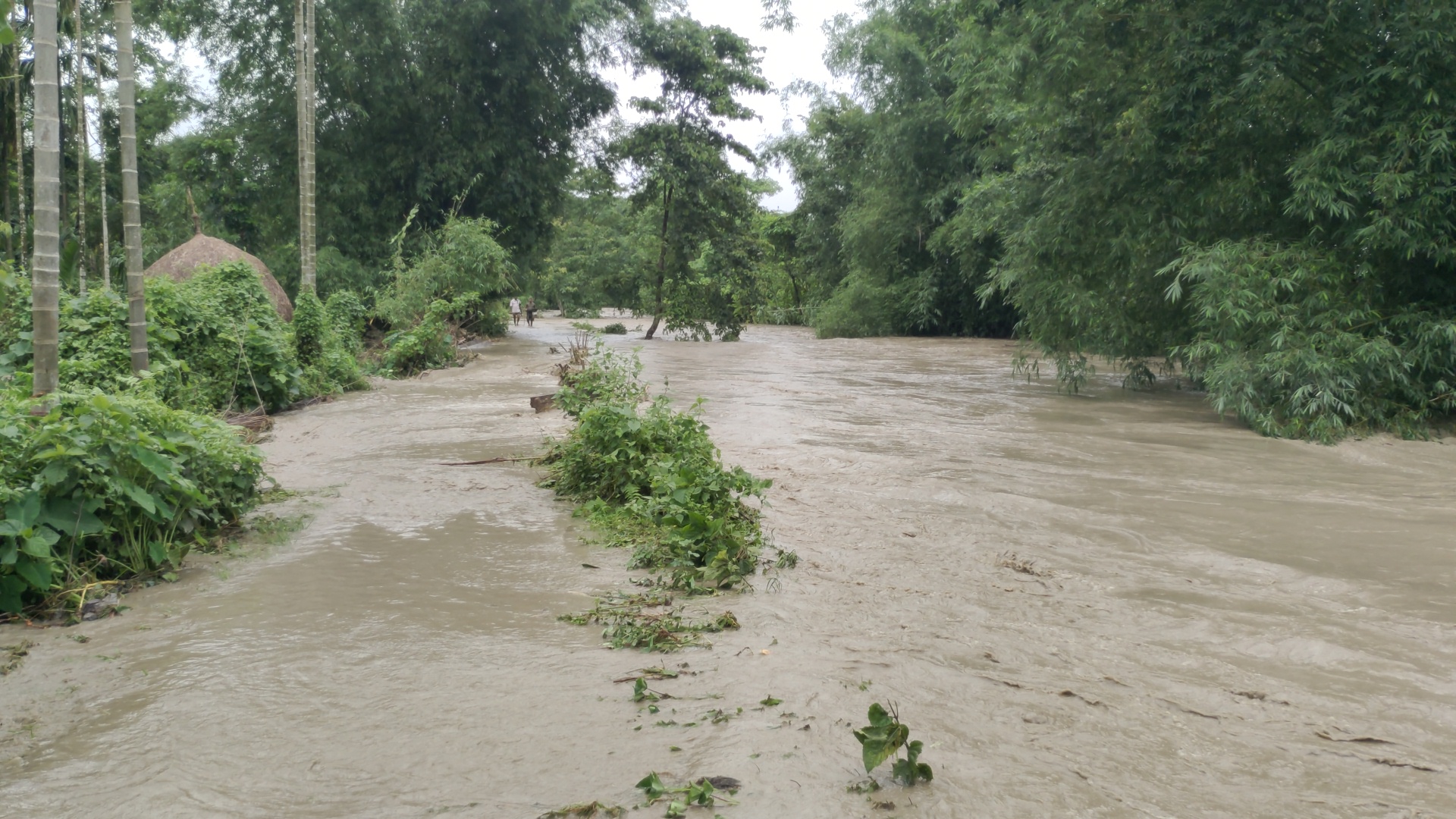 Chirang flood situation