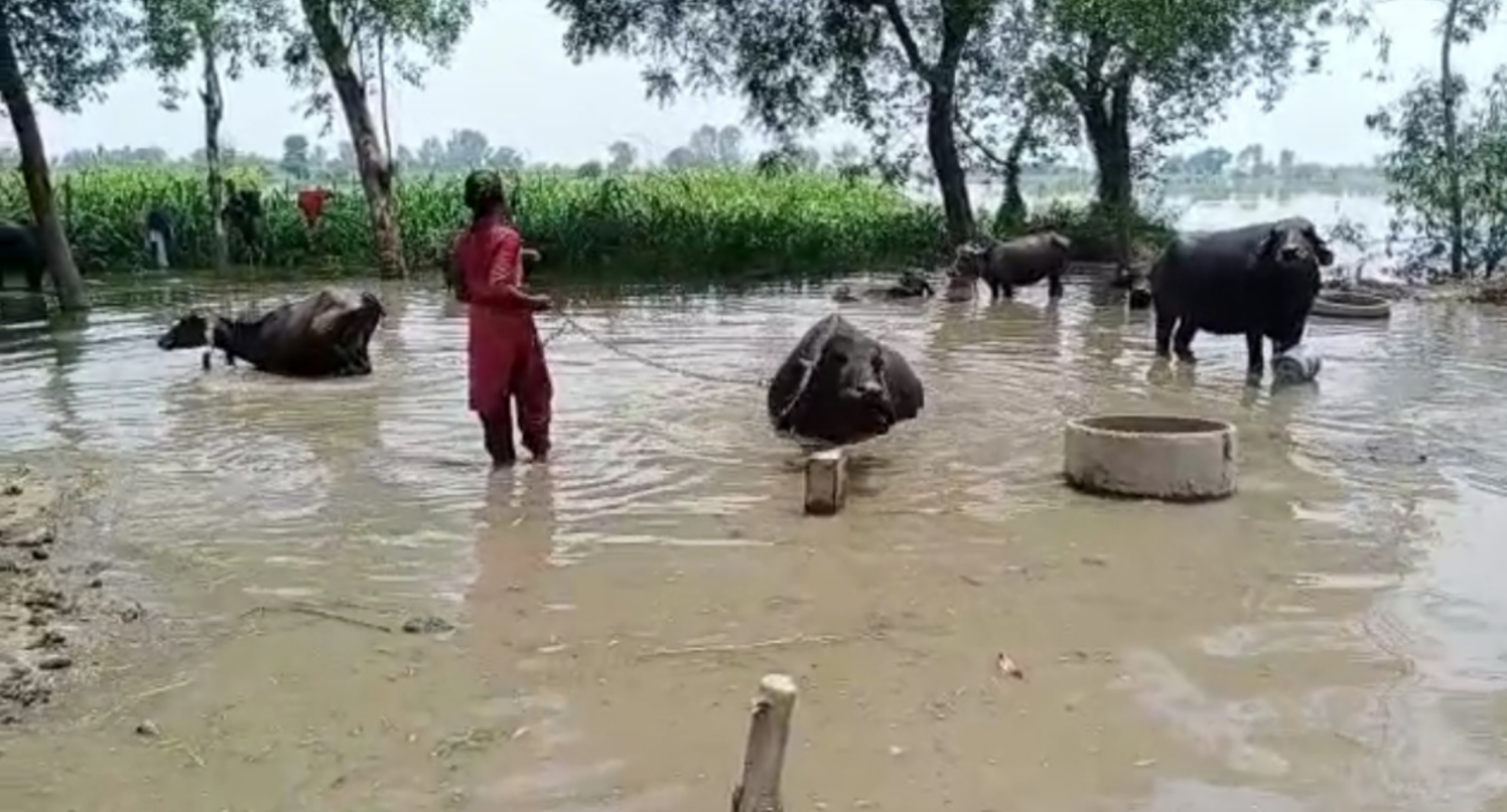 flood in Aligarh