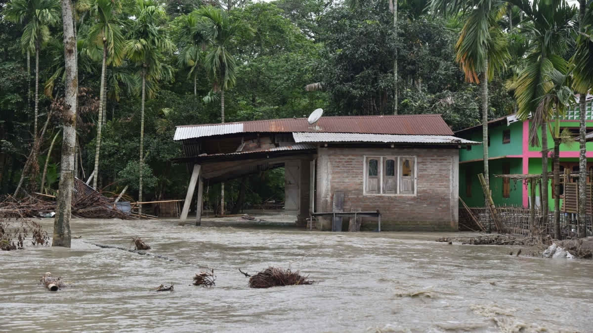 Assam Seven More People Dead In Flood Related Incidents Death Toll Touches 90 1287