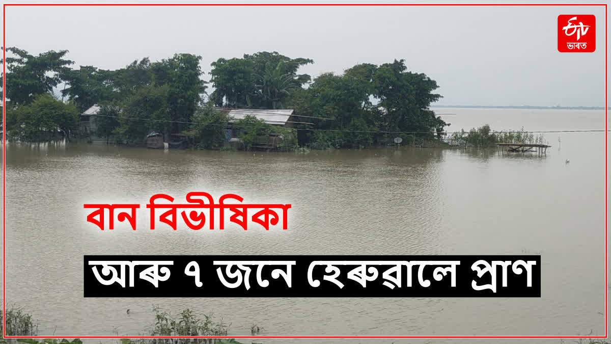 Assam Flood 2024