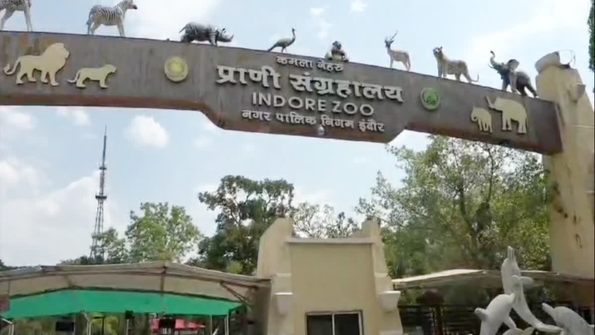 Indore Kamala Nehru Zoo