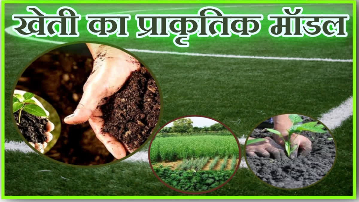 Haryana Natural Farming Model