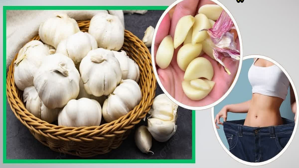 garlic has tremendous health benefits it protect form heart to skin