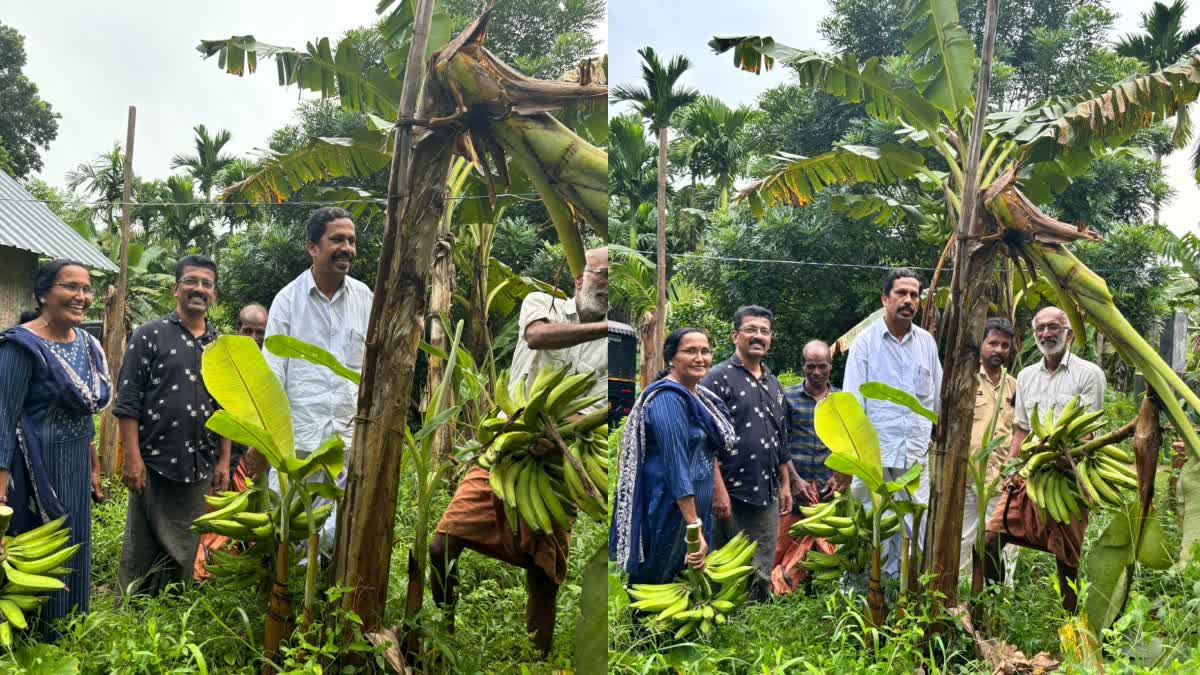 CONGRESS FUND VERITY  CONGRESS PARTY KASARAGOD  ബക്കറ്റ് പിരിവിന് ബദല്‍  കോൺഗ്രസ് കാസര്‍കോട്