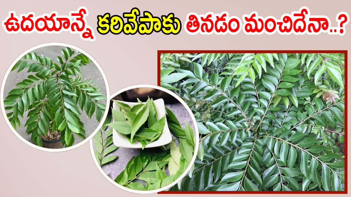 Curry Leaves Benefits